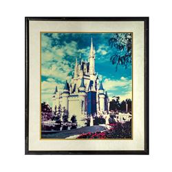 Cinderella Castle Framed Photo Print.