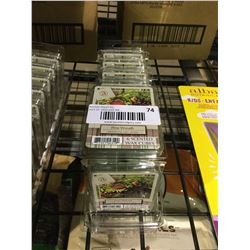 Ambiscents 6 Pine Wreath Scented Wax Cubes (10ct)