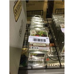 Ambiscents 6 Pine Wreath Scented Wax Cubes (10ct)