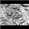 Image 7 : ***Auction Highlight*** 1897-o Morgan Dollar $1 Graded Select+ Unc By USCG (fc)