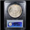 Image 9 : 5 Unc Morgan $1 Graded By PCGS Mixed Dates From The McClaren Collection