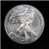 Image 4 : 4 Silver Eagle $1 coins 2016-2019