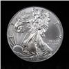 Image 6 : 4 Silver Eagle $1 coins 2016-2019