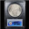 Image 3 : 5 Unc Morgan $1 Graded By PCGS Mixed Dates From The McClaren Collection