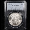 Image 4 : 5 Unc Morgan $1 Graded By PCGS Mixed Dates From The McClaren Collection