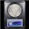 Image 7 : 5 Unc Morgan $1 Graded By PCGS Mixed Dates From The McClaren Collection