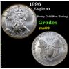 Image 1 : 1996 Silver Eagle Dollar $1 Grades ms69