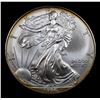 Image 2 : 1996 Silver Eagle Dollar $1 Grades ms69