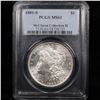 Image 8 : 5 Unc Morgan $1 Graded By PCGS Mixed Dates From The McClaren Collection