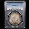 Image 2 : PCGS 1889-p Rainbow Toned Morgan Dollar $1 Graded ms62 By PCGS