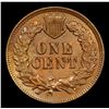 Image 3 : 1902 Indian Cent 1c Grades Select Unc BN