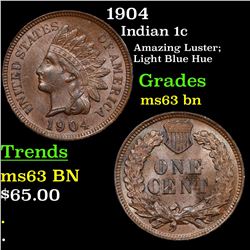 1904 Indian Cent 1c Grades Select Unc BN