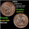 Image 1 : 1904 Indian Cent 1c Grades Select Unc BN