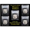 Image 1 : 5 Unc Morgan $1 Graded By PCGS Mixed Dates From The McClaren Collection