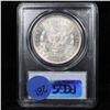 Image 11 : 5 Unc Morgan $1 Graded By PCGS Mixed Dates From The McClaren Collection