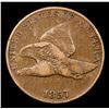 Image 2 : 1857 Flying Eagle Cent 1c Grades vf details