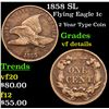 Image 1 : 1858 SL Flying Eagle Cent 1c Grades vf details