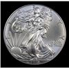 Image 2 : 2019 Silver Eagle Dollar $1 Grades Mint State