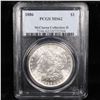 Image 8 : 5 Unc Morgan $1 Graded By PCGS Mixed Dates From The McClaren Collection Grades