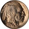 Image 1 : 1913-S Buffalo 5C. Type 1 NGC MS67