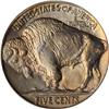 Image 2 : 1915 Buffalo 5C PCGS MS67