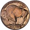 Image 2 : 1926-D Buffalo 5C PCGS MS65