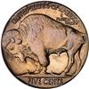 Image 2 : 1928 Buffalo 5C PCGS MS66