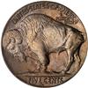 Image 2 : 1929-D Buffalo 5C PCGS MS65