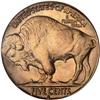 Image 2 : 1930-S Buffalo 5C PCGS MS66