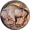 Image 2 : 1934-D Buffalo 5C NGC MS65