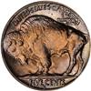 Image 2 : 1938-D Buffalo 5C NGC MS67