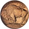 Image 2 : 1913 Buffalo 5C. Type 1 NGC PF66