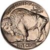 Image 2 : 1913 Buffalo 5C. Type 2 NGC PF66