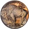 Image 2 : 1914 Buffalo 5C PCGS PF66