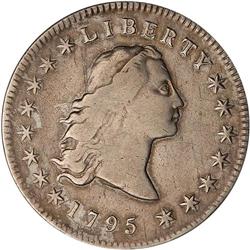 1795 Flowing Hair $1. 3 Leaves RAW F15