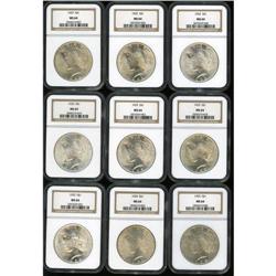 Lot of 41 Peace Dollars NGC MS64