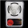 Image 3 : ***Auction Highlight*** NGC 1884-p Morgan Dollar $1 Graded ms65 By NGC (fc)
