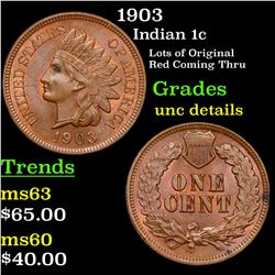 1903 Indian Cent 1c Grades Unc Details