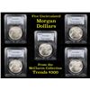 Image 1 : 5 Unc Morgan $1 Graded By PCGS Mixed Dates From The McClaren Collection Grades