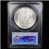 Image 7 : 5 Unc Morgan $1 Graded By PCGS Mixed Dates From The McClaren Collection Grades