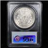 Image 9 : 5 Unc Morgan $1 Graded By PCGS Mixed Dates From The McClaren Collection Grades