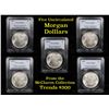 Image 1 : 5 Unc Morgan $1 Graded By PCGS Mixed Dates From The McClaren Collection Grades