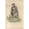 Image 1 : 18thc Hand-colored George Edwards Engraving, Black Monkey No. 9