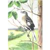 Image 1 : 1920's Mocking-Bird Color Lithograph Print