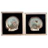Image 1 : Shell pantings