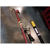Image 2 : 2 POLE PRUNERS AND YARDWORKS EXTENSION POLE