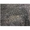 Image 2 : INDOOR OUTDOOR CARPET 24 X 36 FOOT