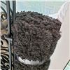 Image 2 : 5 X 8 GREY SHAG AREA CARPET