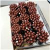 Image 2 : 250 FELT TIP PENS