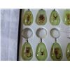Image 2 : TRAY OF GLOW IN THE DARK SCORPION AND BUG KEYCHAINS